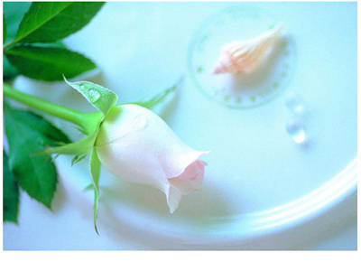 女孩長痔瘡怎么辦